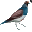 quayles.com